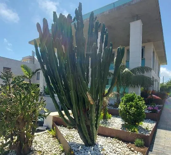 Playa San Juan * Soto de la Marina
