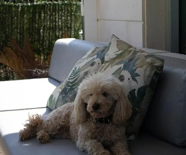 Villa Playa San Juan *