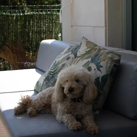 别墅 Playa San Juan *