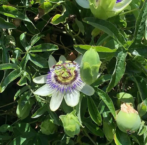 Playa San Juan Villa Soto de la Marina